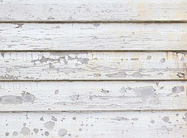 Affordable Siding Repair and Maintenance Services in Mason, MI